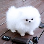 <3