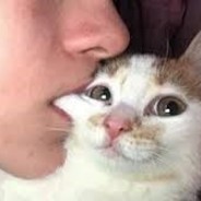 집사