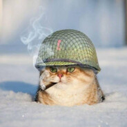 KILLER_КОТЕЙКА