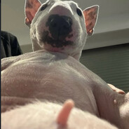 Doug