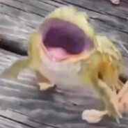 MiniAR
