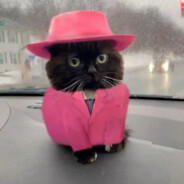 Mafioznik