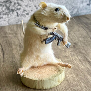 Steam Community Avatar