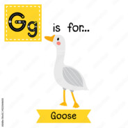 Goose____