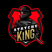 The_Most expensive bitch Strychu