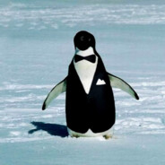 ペンギン