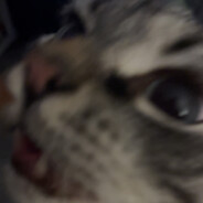 :Merglísek: