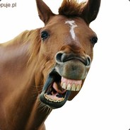 Ex6TenZ
