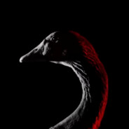 GOOS