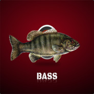 BassOp