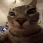 Mr. butter