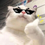 LikeMeow