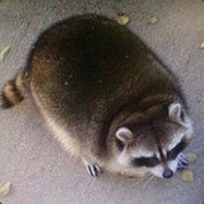 ABlueZephyr