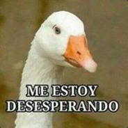 el ganzo+