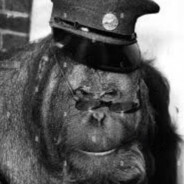 Monkey