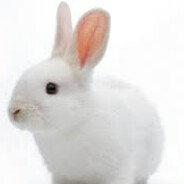 BugsBunny