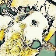 Bony_15_