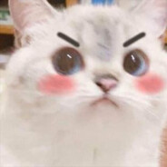 Debil
