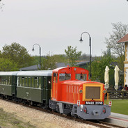 Csonytii