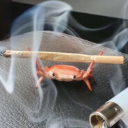 ImBadAtApexCauseImHigh