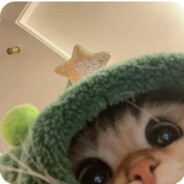 Meow