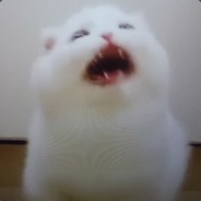 Meister-Fuhrer