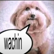 anti-wachines