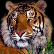 KaNNix [DE]