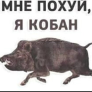 гбр в деле