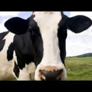 MPtgMOO