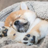 Pupperinö
