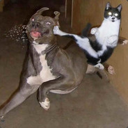 NinjaCunt
