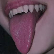 NeKiTkA