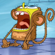 monkey
