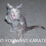 karate