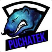 PucHaTeK
