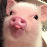 Sleep Porken