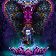 Dr.Psychedelic -K0r0K0r0