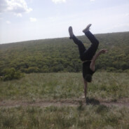 Steelll