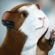 Hamster