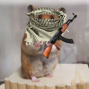 сирийский хомяк