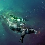 Space Whale