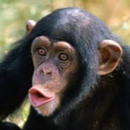 goryl