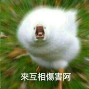 LittleBoom
