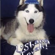 Shalom