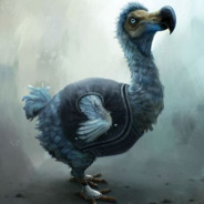 Dodo
