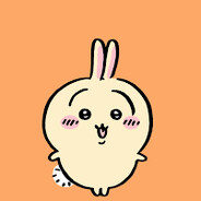 Usagi