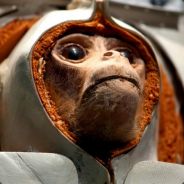 Dr. Chimp