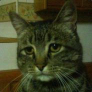 Pepper