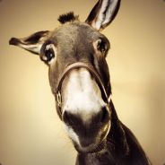 Steam profile picture for @popup